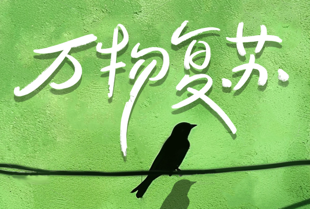 惊蛰启新程 | 大地苏醒时，掘进正当时